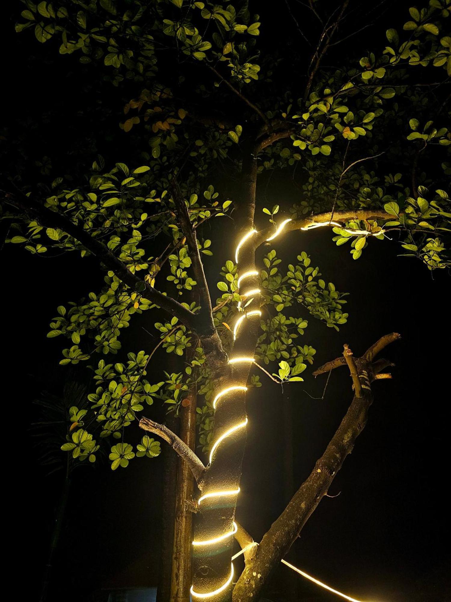 The Beachwalk Stay - Your Pathway To The Beach Gokarna  Exterior foto